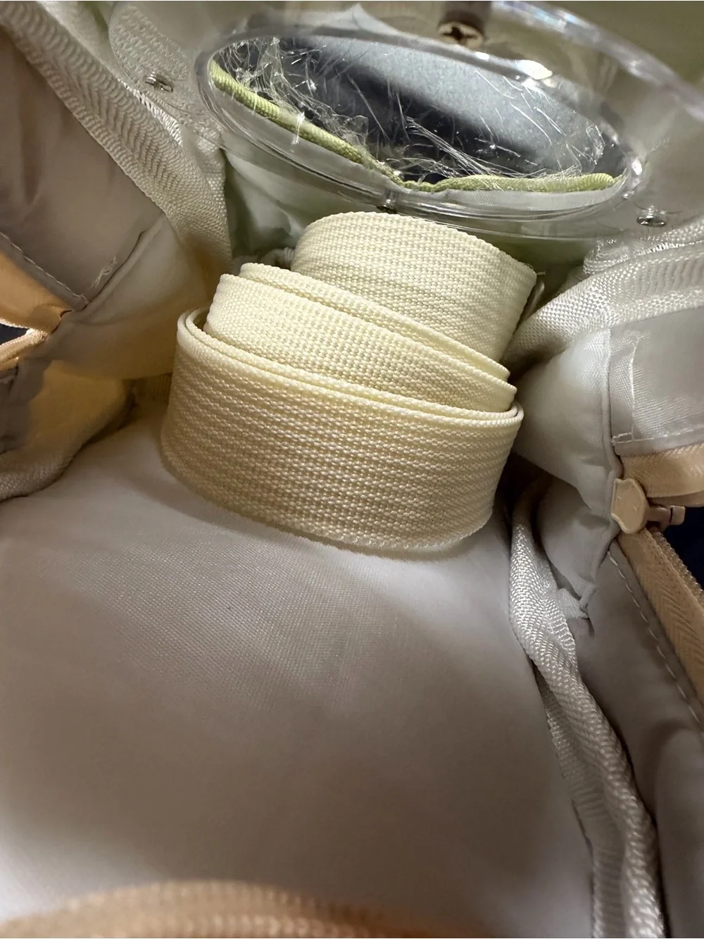 Cream and Light Green Pet Carrier Tote with Bubble Window